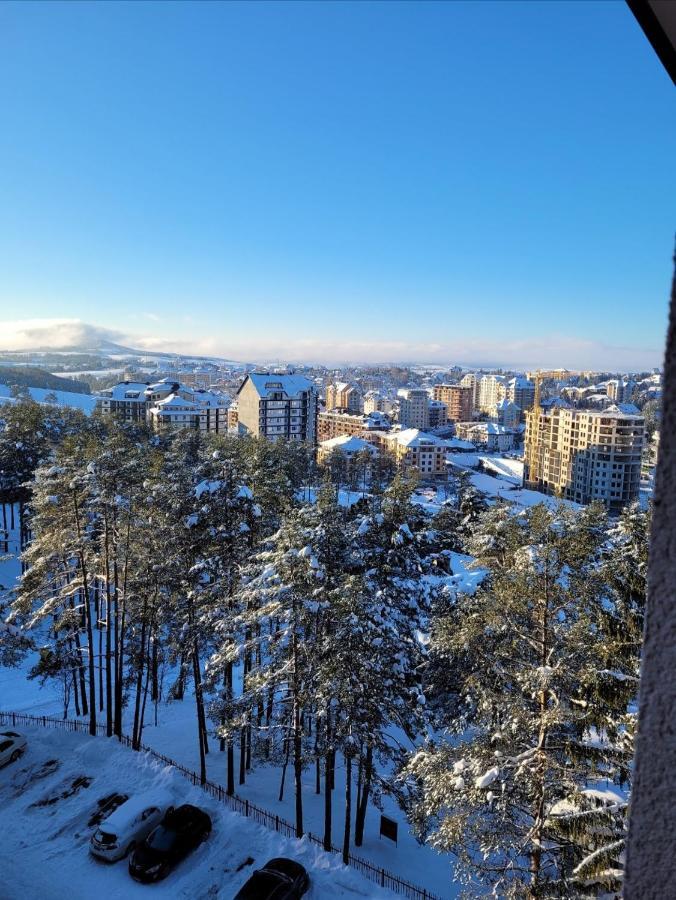 Apartment Dunja-vila Pekovic *